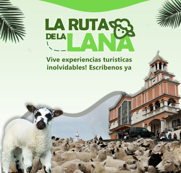 La Ruta de la Lana - Marulanda